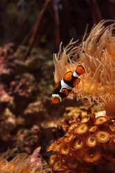 Similar image 13051601