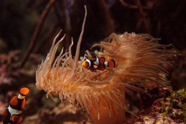 Similar image 13051640