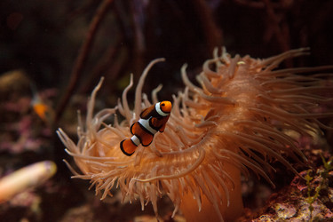 Similar image 13051261