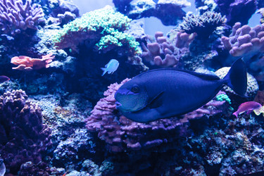 Similar image 13051701