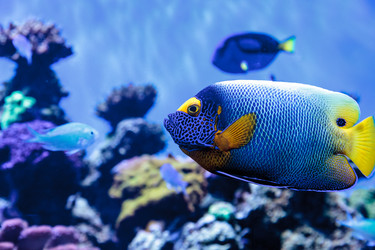 Similar image 13051284