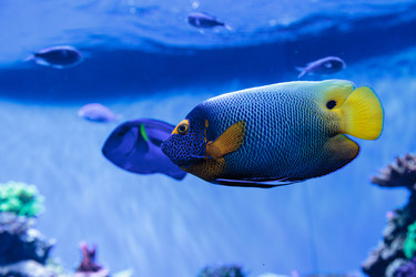 Similar image 13051302