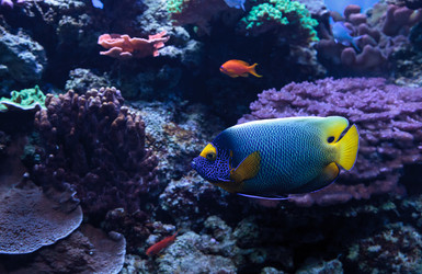 Similar image 13051710