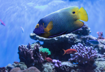 Similar image 13051714