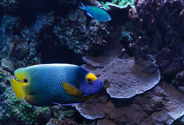 Similar image 13051717