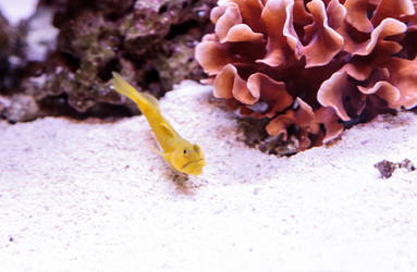 Similar image 13051363