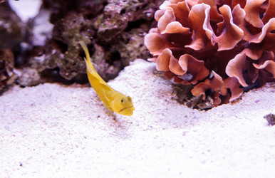 Similar image 13051822