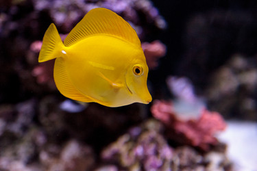 Similar image 13051384