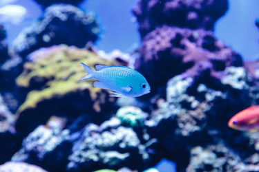 Similar image 13051385