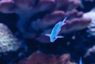 Similar image 13051443