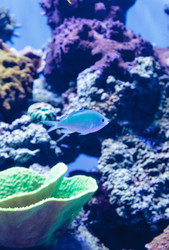 Similar image 13051445