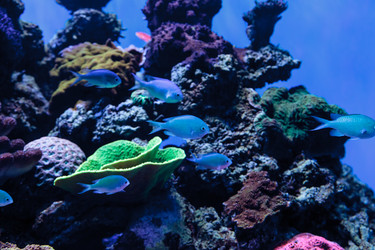 Similar image 13051446