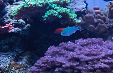 Similar image 13051480