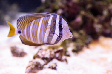 Similar image 13051559