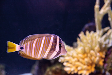 Similar image 13051620