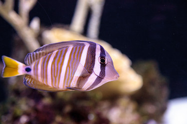 Similar image 13051621