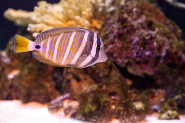 Similar image 13051622