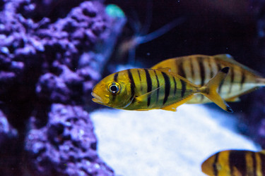 Similar image 13051682