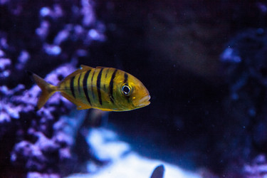 Similar image 13051683