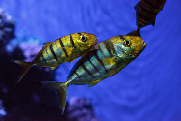 Similar image 13051061