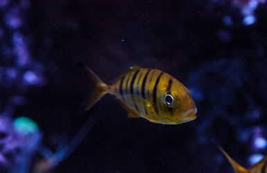 Similar image 13051062