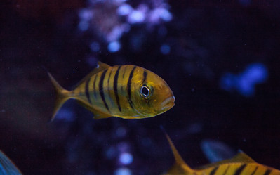 Similar image 13051063