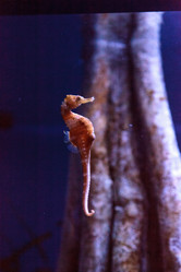 Similar image 13051321