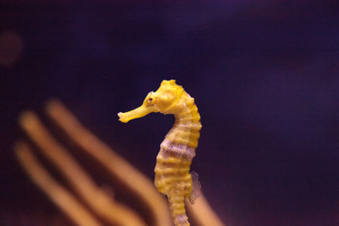 Similar image 13051324