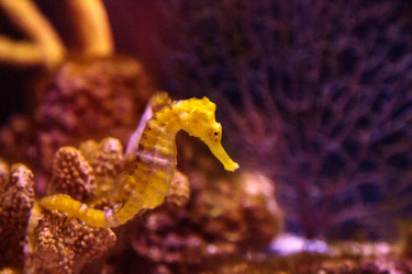 Similar image 13051325