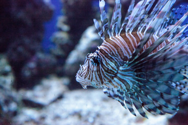 Similar image 13051084