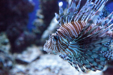 Similar image 13051100