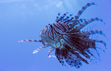 Similar image 13051101