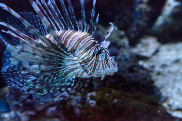 Similar image 13051103