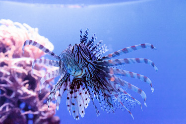 Similar image 13051104