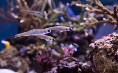 Similar image 13051141