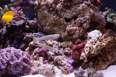 Similar image 13051142