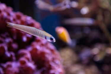 Similar image 13051463