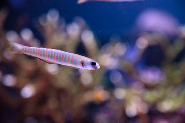 Similar image 13051464