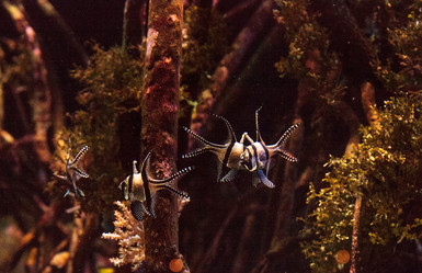 Similar image 13051162