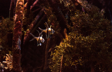 Similar image 13051163