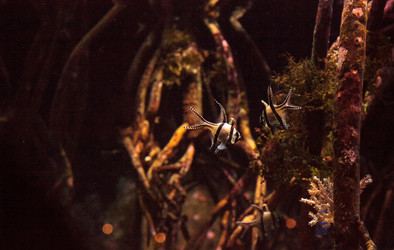 Similar image 13051164