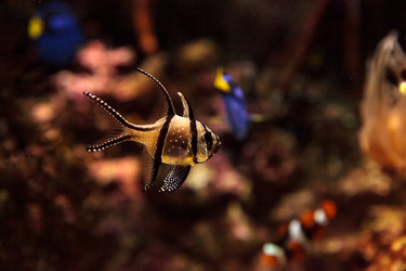 Similar image 13051188