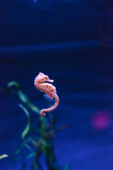 Similar image 13051504