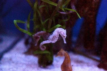 Similar image 13051523