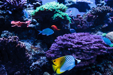 Similar image 13051574