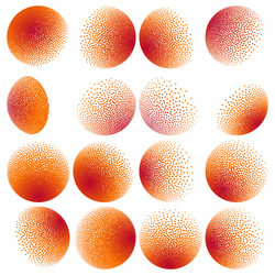 Similar image 13017891