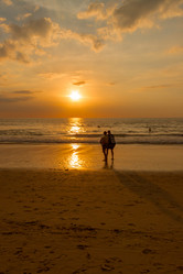 Similar image 13012888