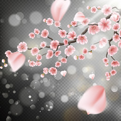 Similar image 13017849