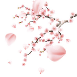 Similar image 13017614