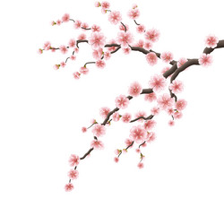 Similar image 13017953